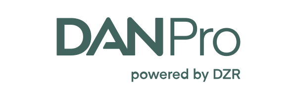 Logo danPro by DZR